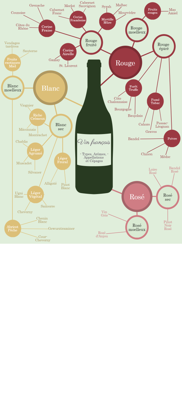 Carte mentale aromes vins