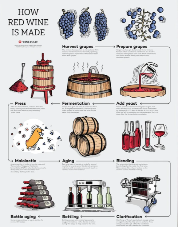 How red wine is made