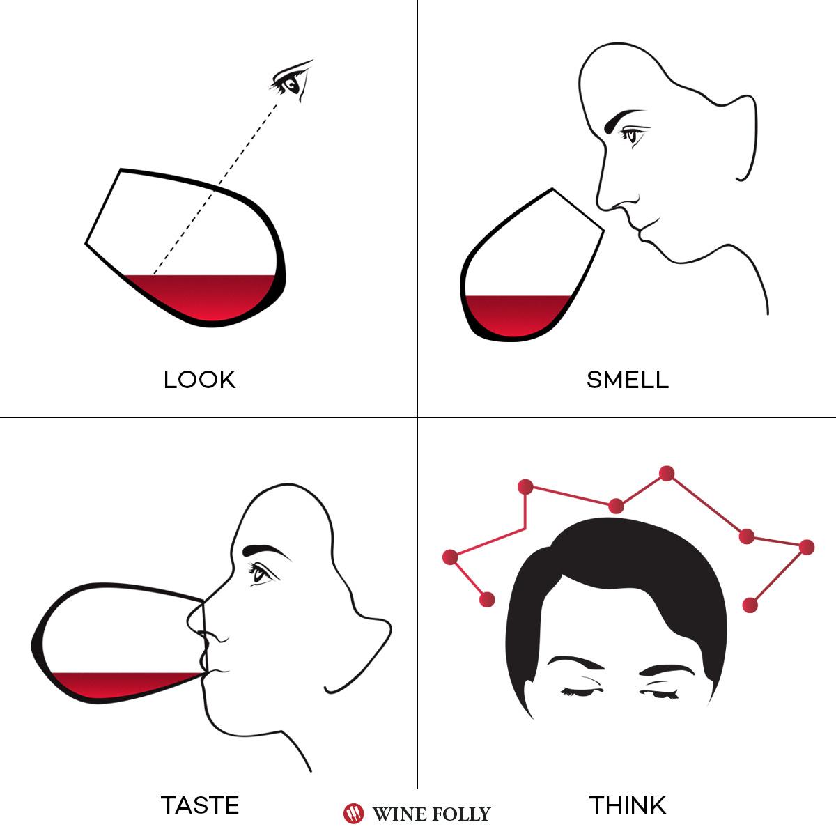 How to taste wine method tasting winefolly