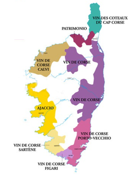 Corse vignoble