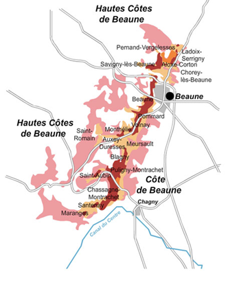 Cote de beaune