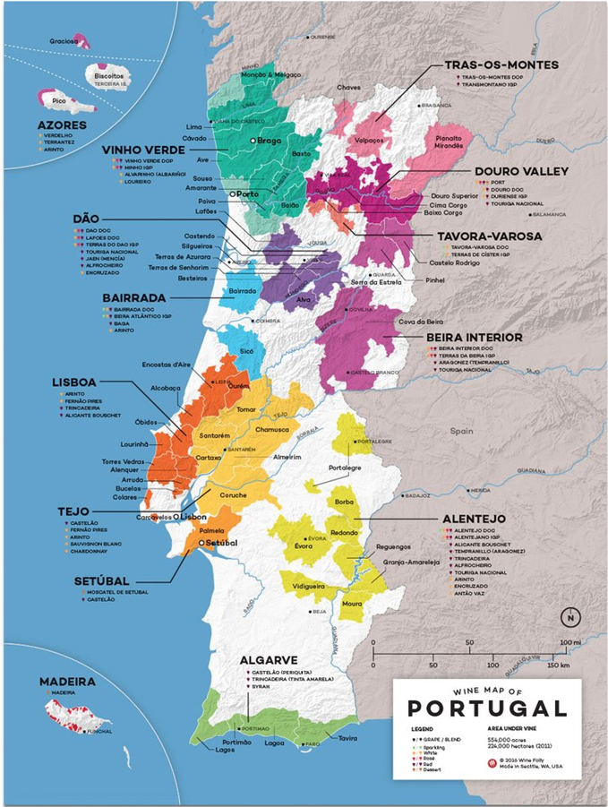 Portugal vignoble 1